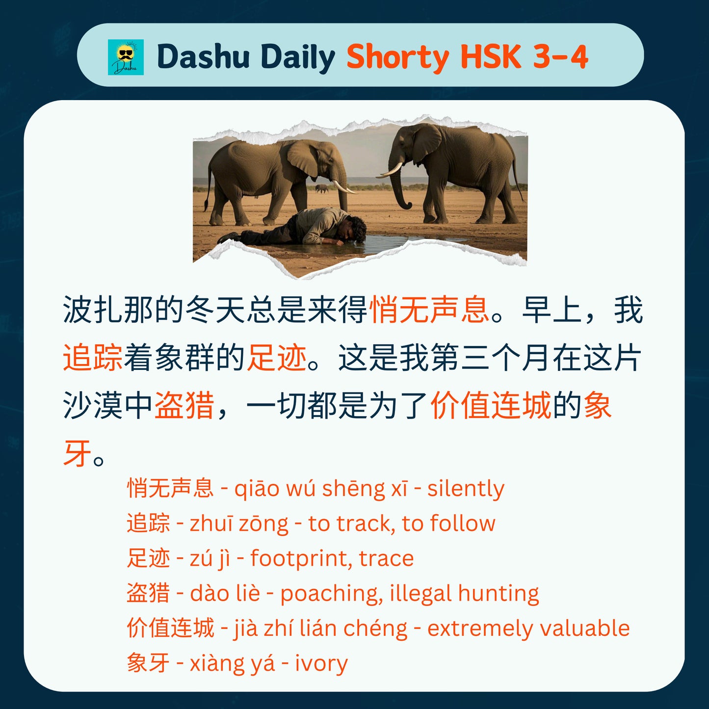 Audiobook Bundle:李小兰的故事+波扎那的冬天+最后一次送外卖+招财猫+长安城