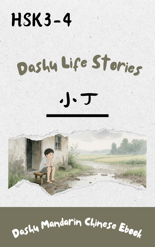 Dashu Graded Reader HSK Level 3-4:小丁